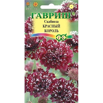 Скабиоза Красный король махровая (Гавр)