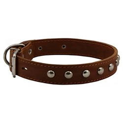 Ошейник №35 кожаный двойной с украшением (Каскад) 35025АГ