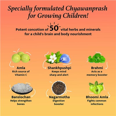Baidyanath JUNIOR PRASH, For The Allrounders, HERBAL JAM, For Export (Чаванпраш ДЖУНИОР ПРАШ, Травяной джем, ДЛЯ ВСЕХ ВОЗРАСТОВ (ЭКСПОРТНОЕ КАЧЕСТВО), Бадьянатх), 500 г.