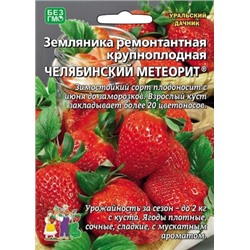 Земляника Челябинский Метеорит (УД) 10шт