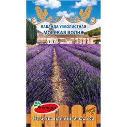 Лаванда Морская волна узколистная Мн (Премиум)