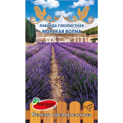 Лаванда Морская волна узколистная Мн (Премиум)