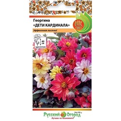 Георгина Дети Кардинала бронзоволистная (НК)