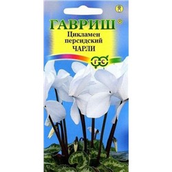 Цв.Цикламен Чарли персидский (Гавриш) 3шт ком.