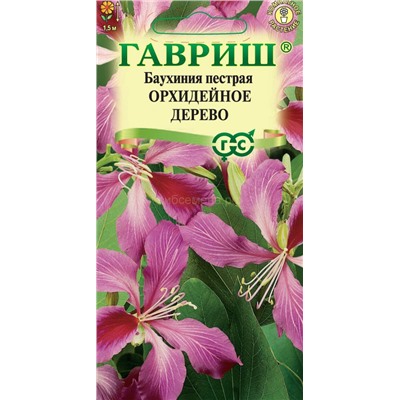 Баухиния Орхидейное дерево (Гавр)