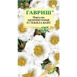 Портулак Текила Вайт F1 махровый (Гавр)