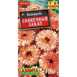 Календула Солнечный закат (Аэлита)