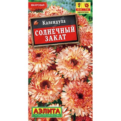 Календула Солнечный закат (Аэлита)