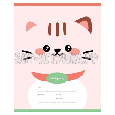 Тетрадь 12 л. частая косая линия "Lovely face" в ассортименте MESHU MS_50154, MS_50154