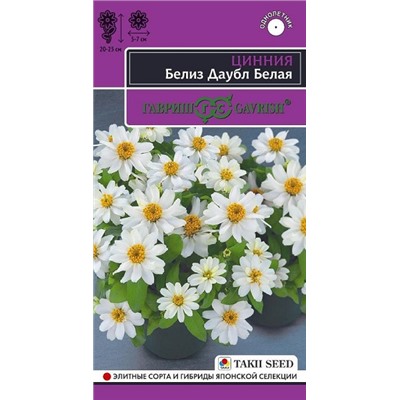 Цинния Белиз даубл белая (Код: 92745)
