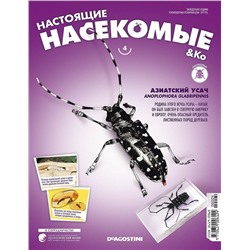 Журнал №04 "Настоящие насекомые" С ВЛОЖЕНИЯМИ! Азиатский усач + стикеры с названиями