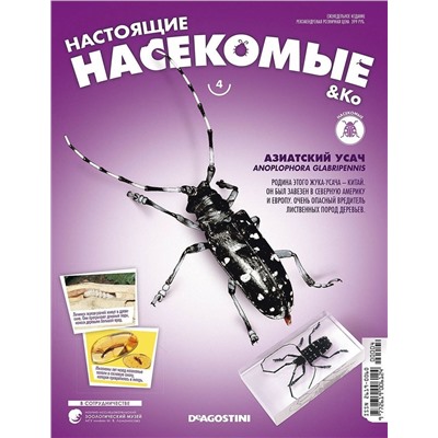 Журнал №04 "Настоящие насекомые" С ВЛОЖЕНИЯМИ! Азиатский усач + стикеры с названиями