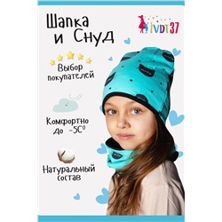 Комплект Киса-Мята (шапка_снуд) (Мятный)