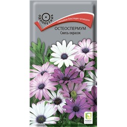 Остеоспермум Смесь окрасок (одн) (П)