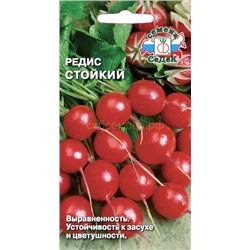 Редис Стойкий (Седек)