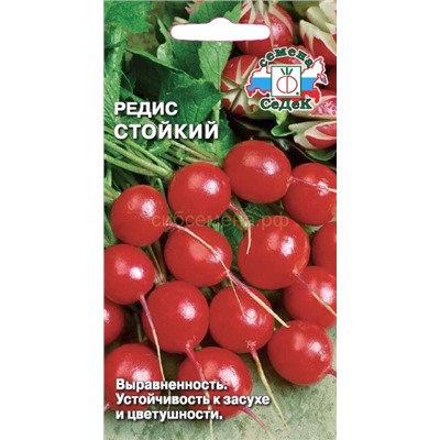 Редис Стойкий (Седек)