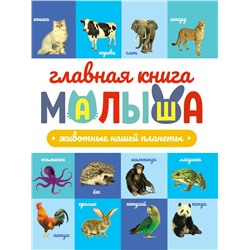 ГЛАВНАЯ КНИГА МАЛЫША. ЖИВОТНЫЕ НАШЕЙ ПЛАНЕТЫ