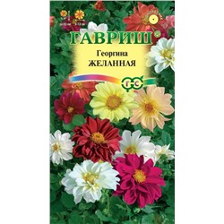 Георгина Желанная смесь (Гавр)