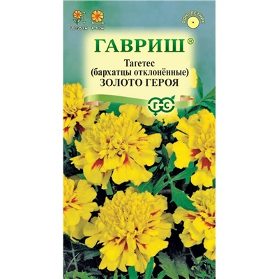 Бархатцы Золото героя отклон. (Гавр)