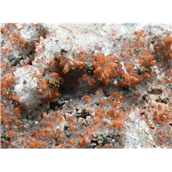 Кварц синатит с пиритом 270*220*75мм. 2790гр