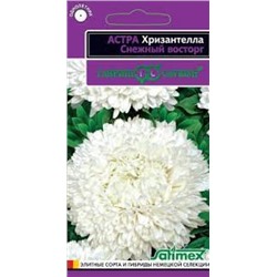 Цв.Хризантелла Снежный восторг (Гавриш) 0,05г