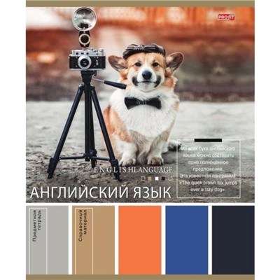 Тетрадь Предмет клетка  АНГЛИЙСКИЙ ЯЗЫК 36л /PANTONE П-Пресс 36-9309