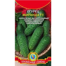 Огурец Миранда F1 (Плазма) 7шт