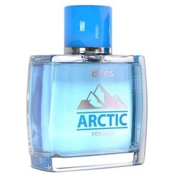 ARCTIC 100ml /муж  M~  БЕЗ УПАКОВКИ