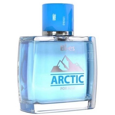 ARCTIC 100ml /муж  M~  БЕЗ УПАКОВКИ