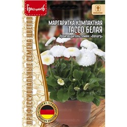 Маргаритка Тассо белая компактная (Редкие)