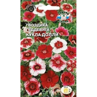 Цв.Гвоздика Кукла Долли смесь (Седек) 0,5гр