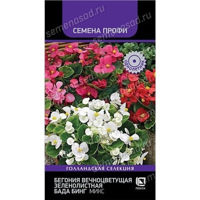 Бегония Бада Бинг микс (Код: 73967)