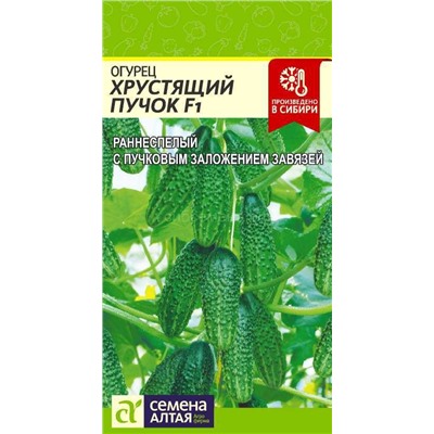 Огурец Хрустящий Пучок F1 (Алтай)
