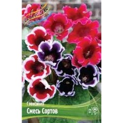 Глоксиния Смесь сортов 2шт (ИС)