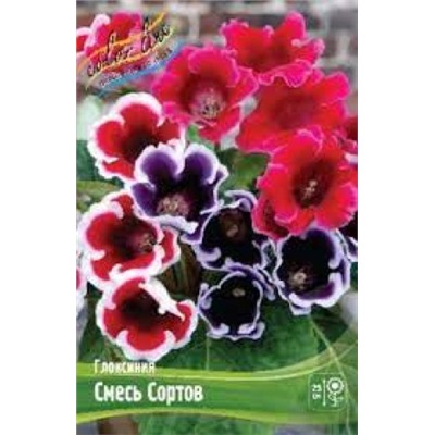 Глоксиния Смесь сортов 2шт (ИС)