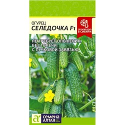 Огурец Селедочка F1 (Сем.Алтая) 5шт