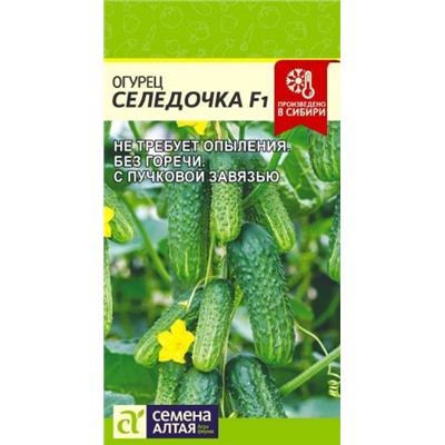 Огурец Селедочка F1 (Сем.Алтая) 5шт