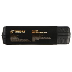 Набор инструментов в кейсе TUNDRA "23 Февраля", подарочная упаковка, 31 предмет