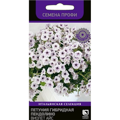 Петуния Пендолино Виолет Айс (П)