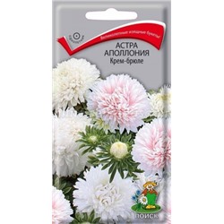 Цв.Астра Смесь Аполлония Крем-брюле (Поиск) 0,3гр