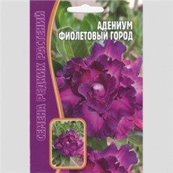 Цв.Адениум Фиолетовый город (Григорьев) 3шт