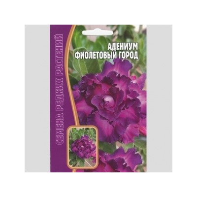 Цв.Адениум Фиолетовый город (Григорьев) 3шт