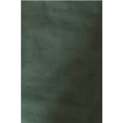 Elisa-19 maxi