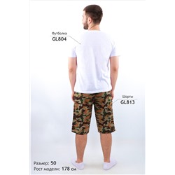 Шорты GL813 НАТАЛИ #891980