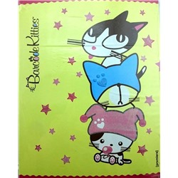 Тетрадь со сменным блоком, клетка, 160л, "Barcode Kitties"
