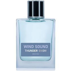 WIND SOUND THUNDER SNOW (Звук Ветра. Снежная гроза)/муж. M~