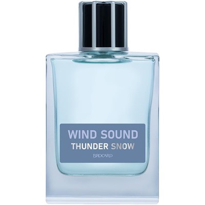 WIND SOUND THUNDER SNOW (Звук Ветра. Снежная гроза)/муж. M~