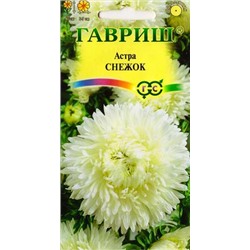Астра Снежок (Код: 86945)
