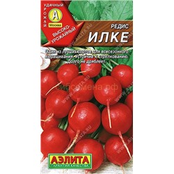 Редис Илке (Аэлита)