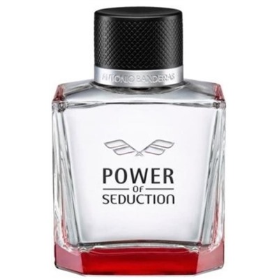 AB  SEDUCTION POWER 100ml /муж. M~ БЕЗ УПАКОВКИ
